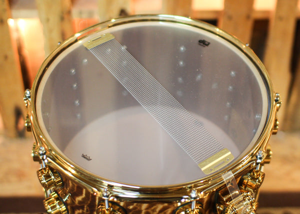 DW 8x14 Collector's Mahogany Spruce Light Walnut Stain over Super Quilted Maple Snare Drum - SO#1424835