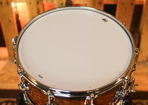 DW 6.5x14 Collector's Maple 333 Almond Burst over Nyatoh Snare Drum - SO#1444620