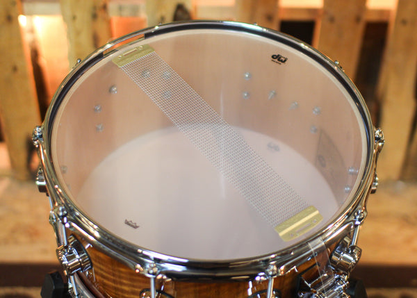 DW 6.5x14 Collector's Maple 333 Almond Burst over Nyatoh Snare Drum - SO#1444620