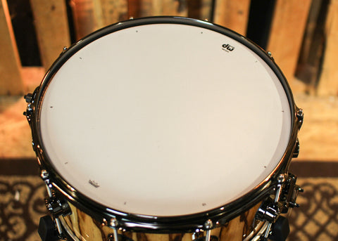 DW 6.5x14 Collector's Maple Mahogany African Chen Chen Snare Drum - SO#1344457