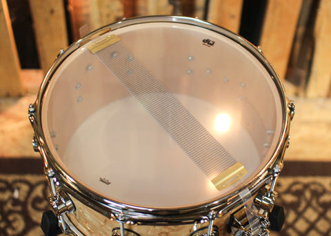 DW 6.5x14 Collector's Maple VLT Kurillian Birch Snare Drum - SO#1344448