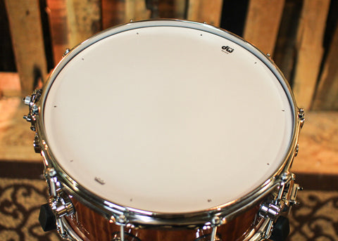 DW 6.5x14 Collector's Maple VLT Macore Snare Drum - SO#1234299