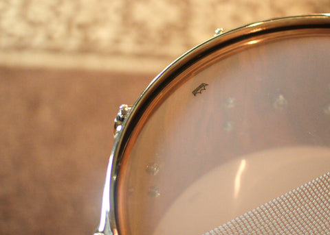 DW 6.5x14 Collector's Pure Almond Natural to Almond Burst Snare Drum - #2 of 2 - SO#1410004