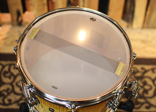 DW 7x13 Collector's Maple VLT Burnt Toast Fade over Curly Maple Snare Drum - SO#1291851