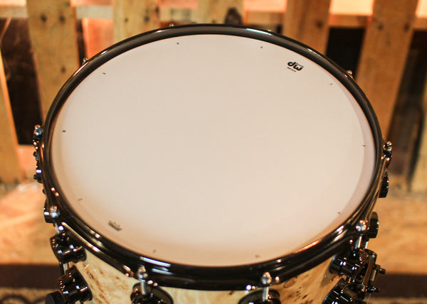 DW 8x14 Collector's Santa Monica Natural Lacquer over Mapa Burl Snare Drum - SO#1409997