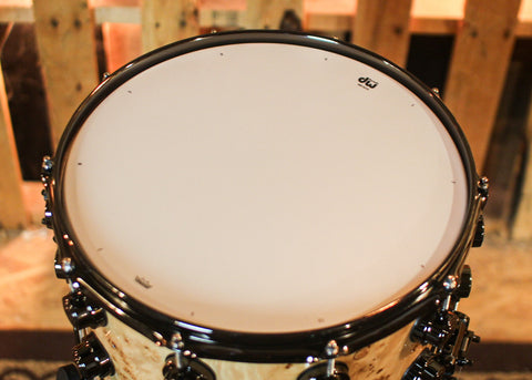 DW 8x14 Collector's Santa Monica Natural Lacquer over Mapa Burl Snare Drum - SO#1409997
